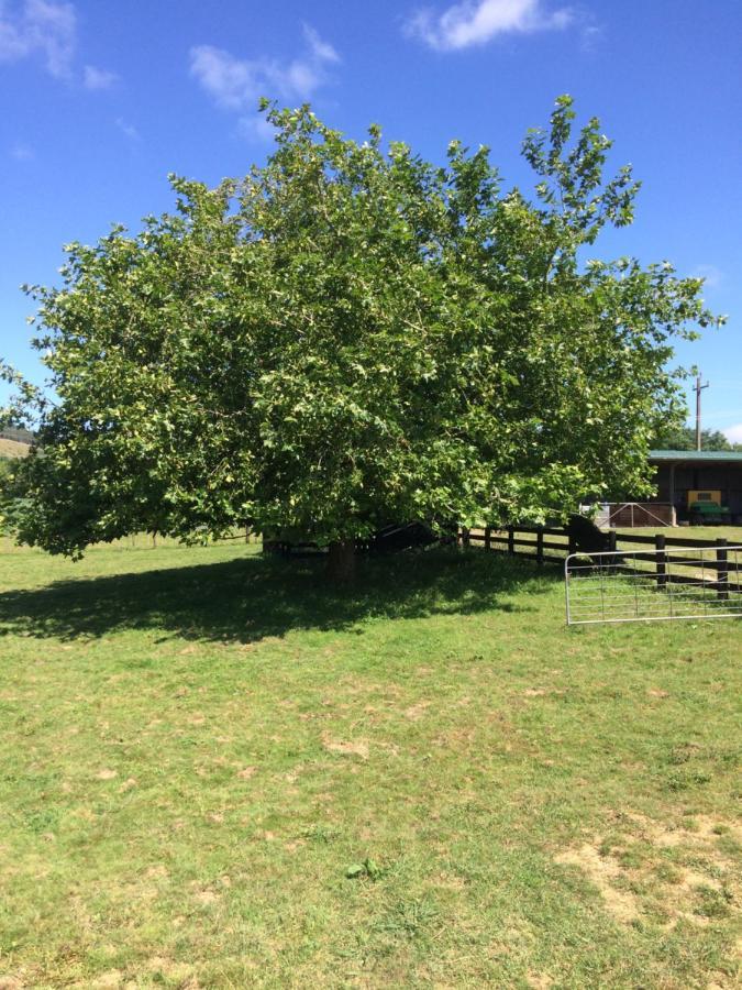 Hunua Ranges Bed & Breakfast Exterior photo